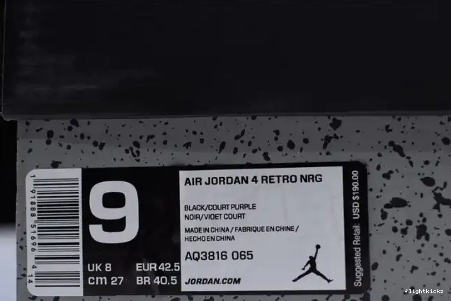 Retro Raptors